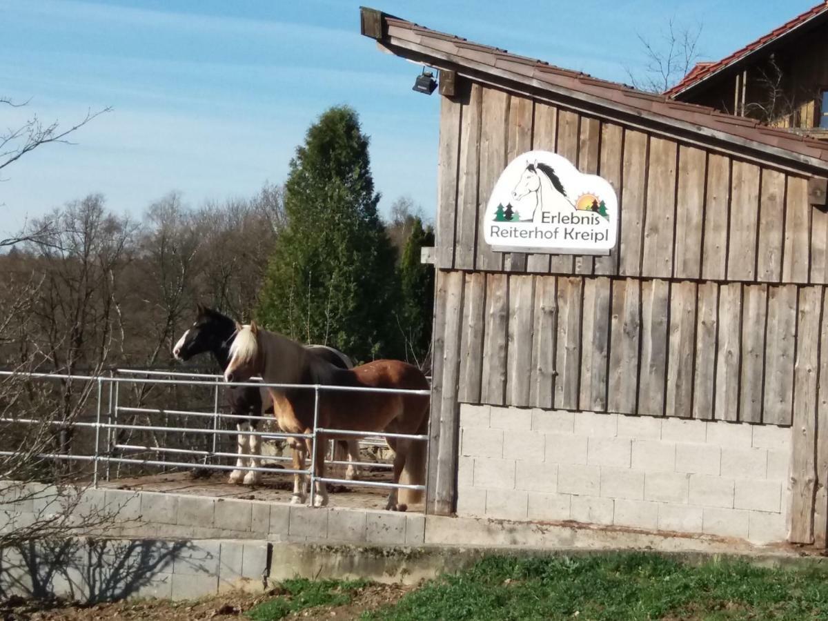 Ferienwohnung Auf Dem Erlebnisreiterhof Kreipl Grattersdorf ภายนอก รูปภาพ